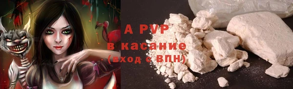 спиды Алзамай