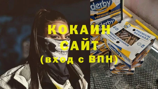 спиды Алзамай