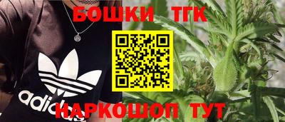 ГАЛЛЮЦИНОГЕННЫЕ ГРИБЫ Сланцы