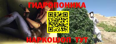 ГАЛЛЮЦИНОГЕННЫЕ ГРИБЫ Сланцы