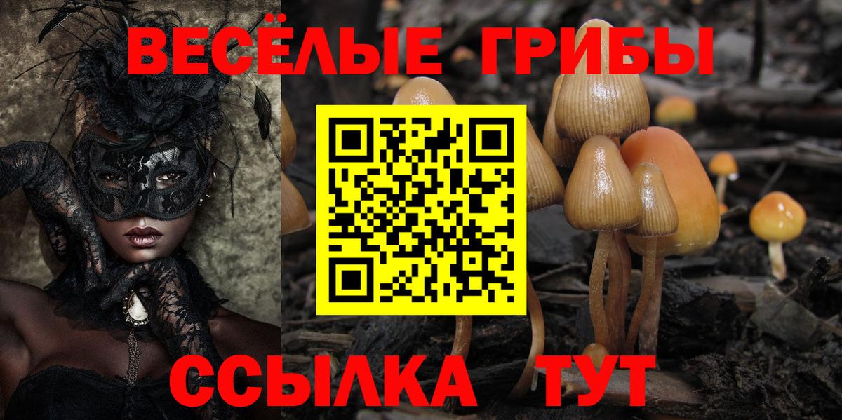 Саранск  Псилоцибиновые грибы Cubensis  Вход с VPN 