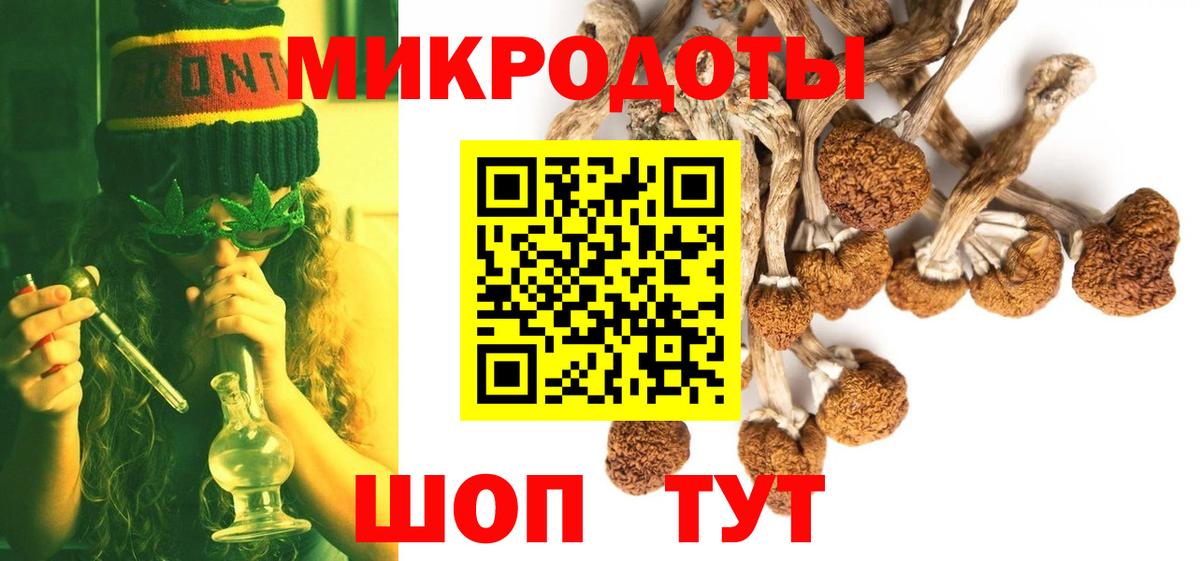 Галлюциногенные грибы мицелий Саранск