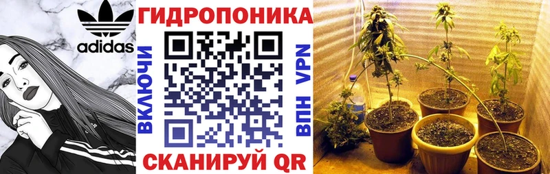 МАРИХУАНА гибрид Саранск